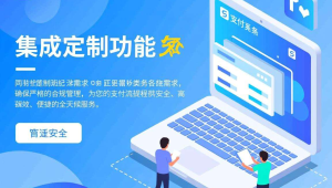 易支付新增标题(突出集成+定制+合规)
