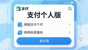 码支付个人版