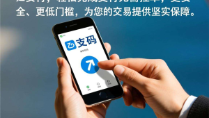 码支付新增标题（强化免挂+安全+低门槛）