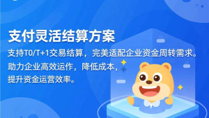 支持T0/T+1灵活结算,易支付适配企业资金周转需求